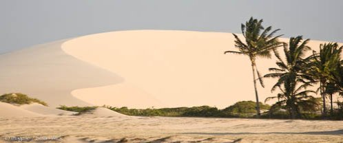 Windsurf em Jericoacoara