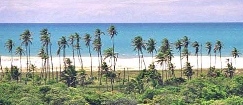 Foto da vista na estrada-Porto das Dunas Ceará Brazil