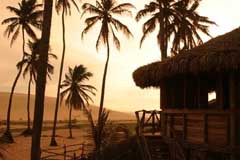 the jericoacoara beach