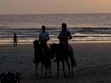 Jericoacoara Wind Surf