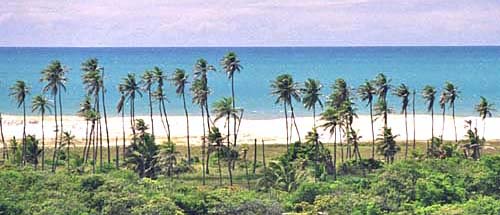 Foto da vista na estrada-Porto das Dunas Ceará Brazil