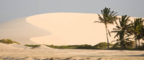 Discovering Jericoacoara