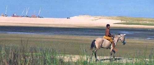 Horseback on the beach Porto das Dunas Fortaleza